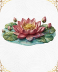3D Textured Embroidery Pink Lotus Flower Design_1