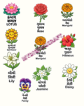 20 Pcs Flowers Digital Sticker | Gujarati Hindi English Flower Names | Printable Flower Stickers | DTF Sticker Design | Kids Learning