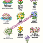 20_Pcs Flowers Guj,Hindi And English name_Sticker_2