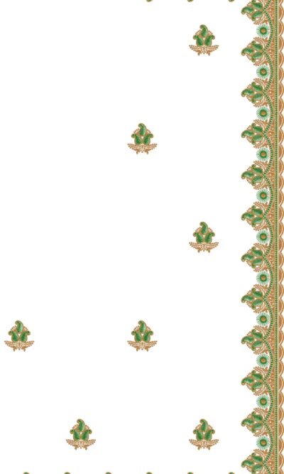 C Pallu Saree Embroidery Design with Green and Gold Floral Border